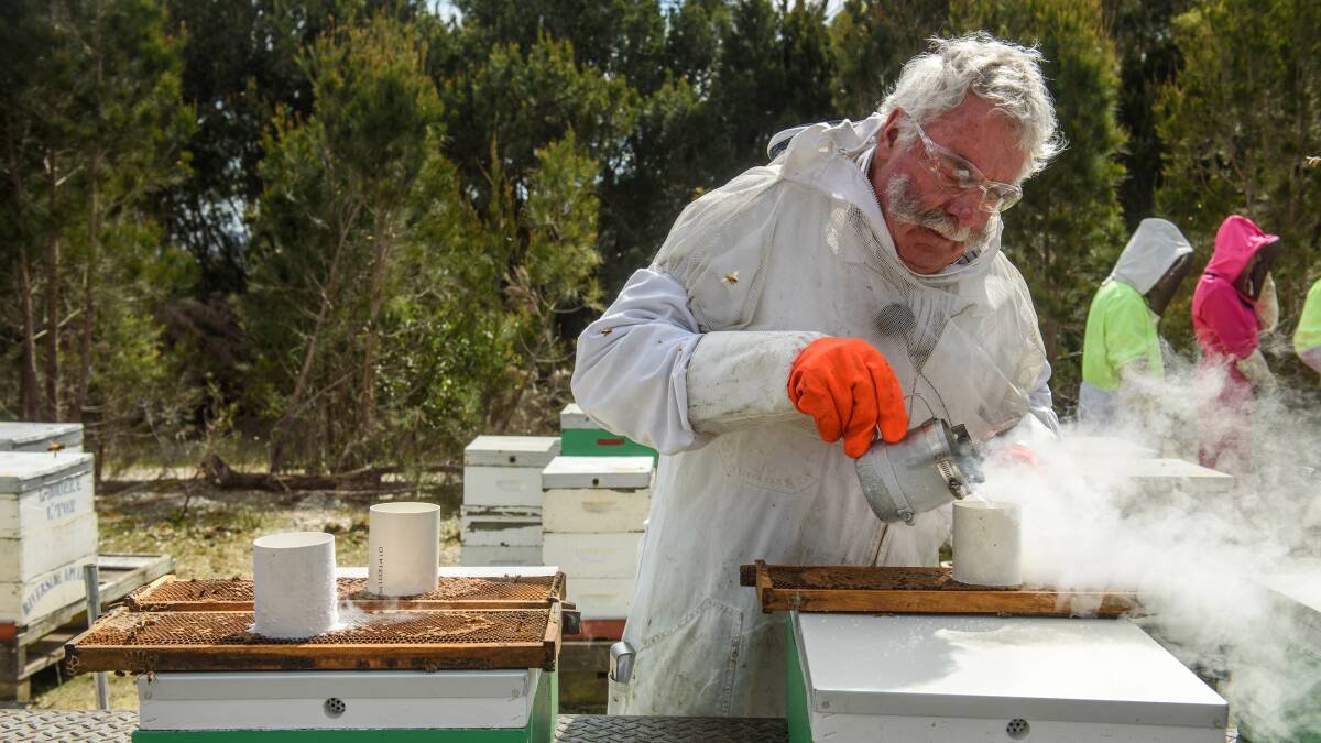 Lindsay Bourke is a key figure in the Tasmanian honey industry. Picture: file