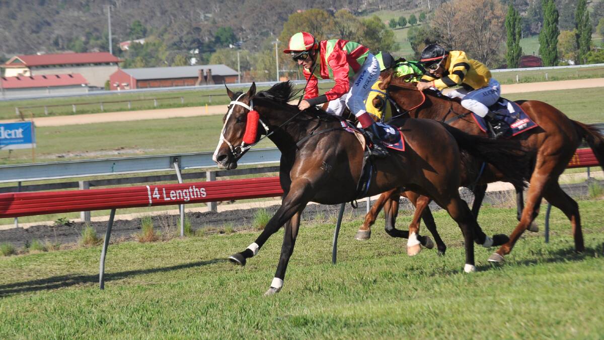 Albies Cup will again take to the track at Armidale Racecourse this Saturday. 