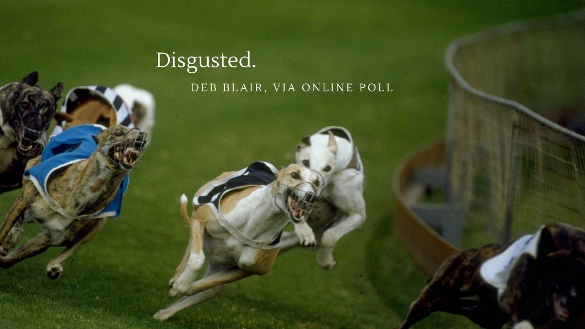 Your reaction to the Baird government’s greyhound racing ban backflip