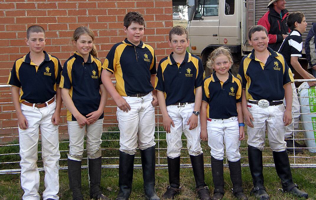 Runners-up all round for polocrosse reps | The Armidale Express | Armidale,  NSW
